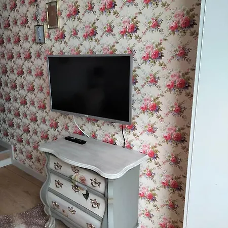 Airbnb 37 * Dordrecht